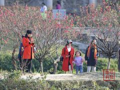 -南国桃园旅游度假区