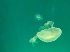 -华夏文旅西安度假区