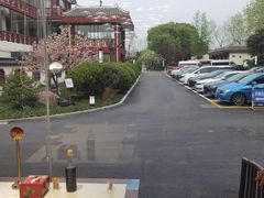 -富春茶社(国庆路店)