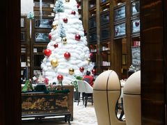 -行者书屋大堂吧 ·下午茶(南京圣和府邸酒店)