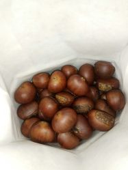 -痘院长·祛痘·皮肤管理
