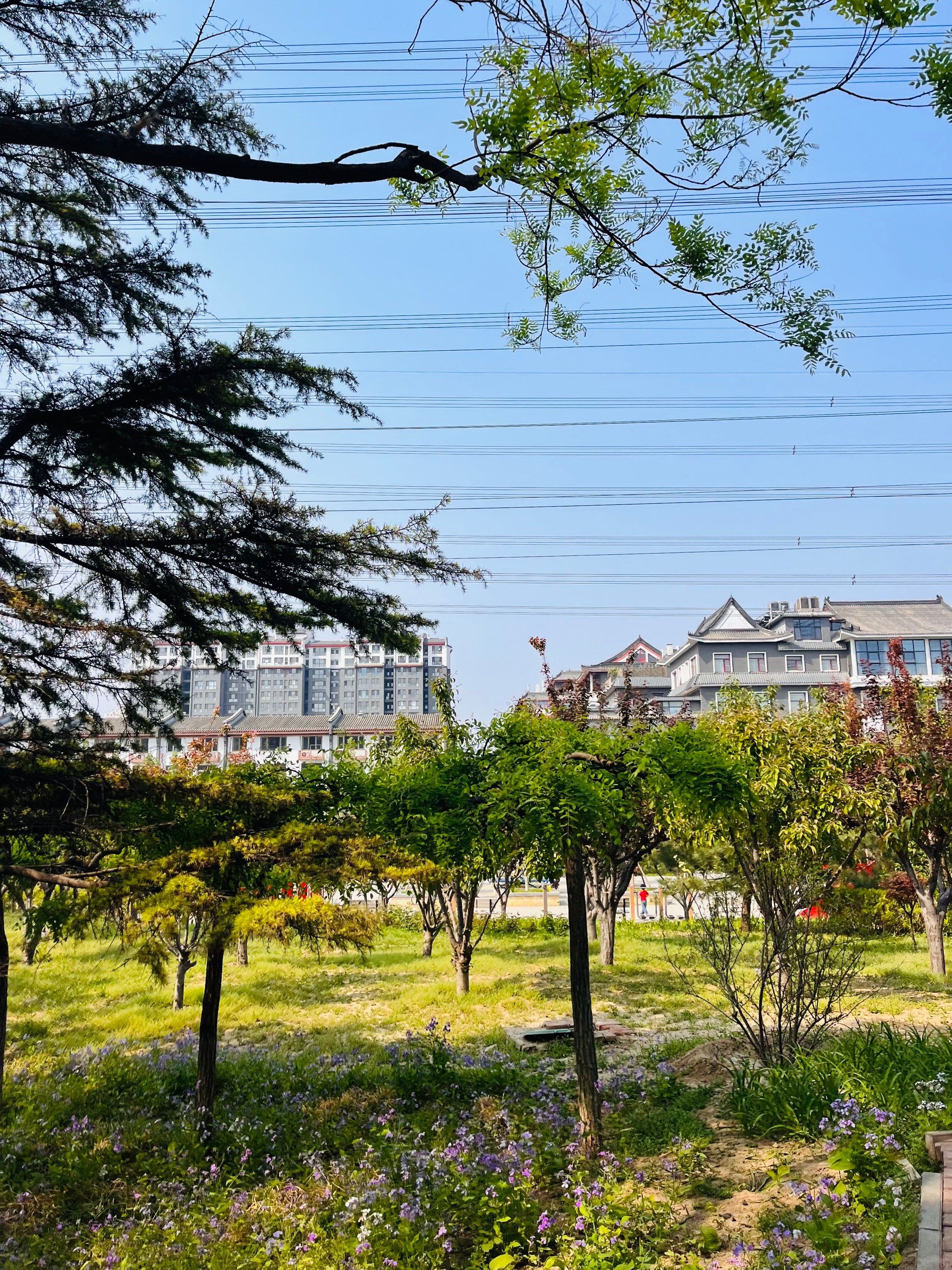 百子湾休闲公园