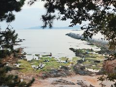 -青岛第二海水浴场