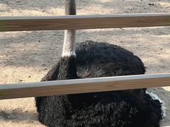 -秦皇岛野生动物园