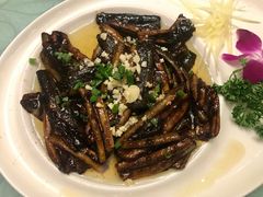 -新聚丰菜馆(太监弄店)
