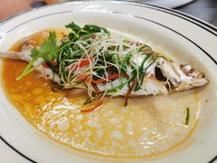 -八仔大富楼·河鲜(西江店)