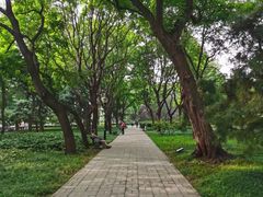 -玲珑塔公园