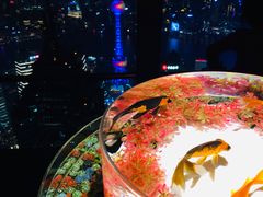 -上海环球金融中心云端足球盛典