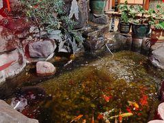 -汇景花园酒家(基立下道店)