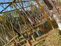 -嘉兴清池酒店温泉