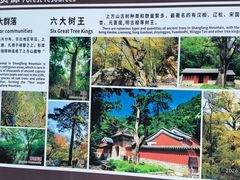 -北京上方山国家森林公园