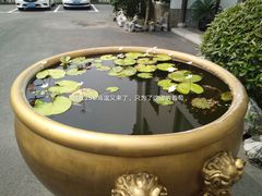 -宏泰园蔬果专业合作社