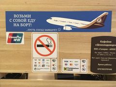-谢列梅捷沃国际机场