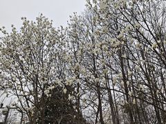 -郑州植物园