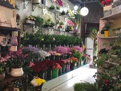 -艾比嘉尔轻奢花店·气球派对(长宁店)