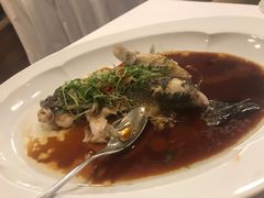 -伯衡55·吉品轩(乌鲁木齐南路店)