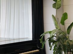 -Melody Mentor音乐私教馆(朝外·悠唐店)
