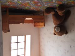 -金山农民画村-枫泾波兰倒置屋