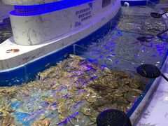 -澜悦港海鲜体验主题餐厅