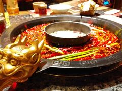 -蜀大侠火锅(建设路第五大道店)