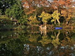 -上海醉白池公园