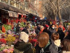 -宝鸡东道花鸟鱼虫市场(吉利花园商场店)