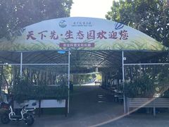 -天下先生态园农庄CS团建露营地(海鸥岛店)