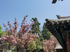 -晋祠公园