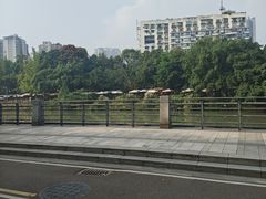 -成都市活水公园