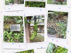 -广州神农草堂中医药博物馆