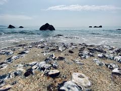 -玫瑰海岸文化旅游度假区