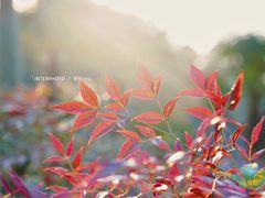 -黄兴公园