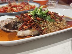 -杨氏青龙虾·羊蝎子(托乐嘉店)