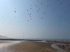 -青岛第一海水浴场