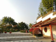 -大渡口区义渡公园