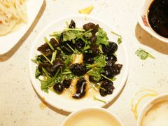 凉菜-舒来喜鱼锅(伊河路店)