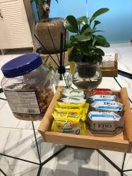 -三只熊皮肤管理中心