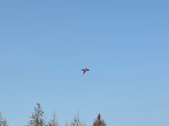 -滆湖低碳生态公园