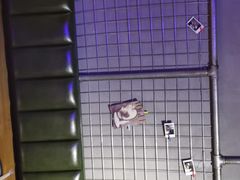 -红钳侠小龙虾·烧烤(中赢康康谷店)