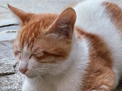 -转山咖啡(松柏社区店)