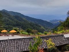 -杨家堂村