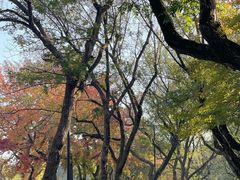 -枫桥景区