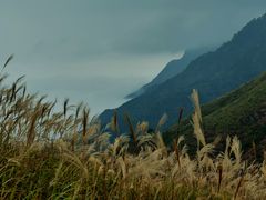 -萍乡武功山风景名胜区