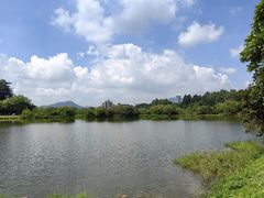 -松山湖风景区松湖烟雨