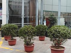 -西安市人民医院(大差市院区)