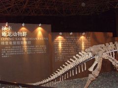 -世界恐龙谷景区