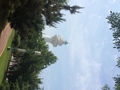 iphone_upload_pic-日照灯塔风景区