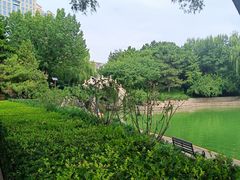 -团结湖公园