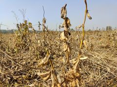 -汉长安城未央宫国家考古遗址公园