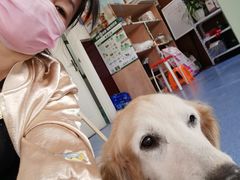-顺强宠物诊所·狂犬免疫·夜诊·骨科(嘉定店)